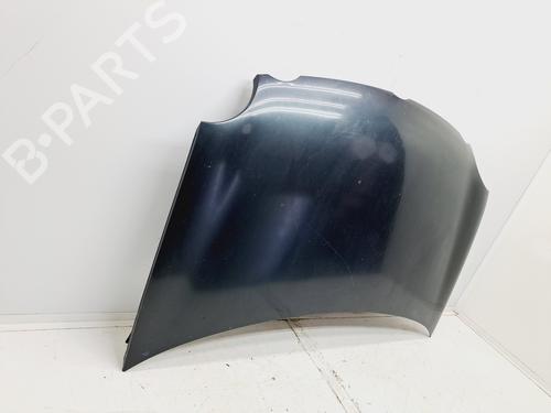 Hood VW POLO IV (9N_, 9A_) 1.4 TDI | BP23895969C1 