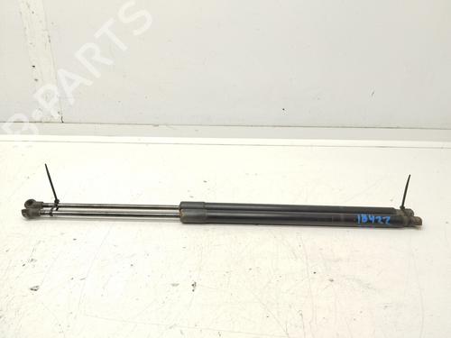 Used Tailgate lift support NISSAN X-TRAIL I (T30) [2001-2013]  21814458