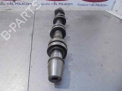 Other AUDI A3 (8P1)  | BP23551241O1 