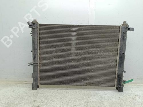 Water radiator DACIA LODGY (JS_) | BP38952884M31 - Image 2