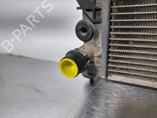 Water radiator VW PASSAT B5.5 (3B3) | BP13425838M31 - Image 4