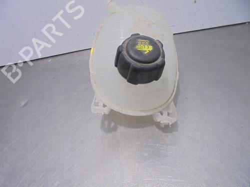 Expansion tank RENAULT RAPID Box Body/MPV (F40_, G40_)  | BP13469821C120 