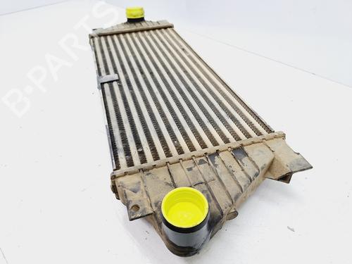 Intercooler MERCEDES-BENZ M-CLASS (W163) ML 270 CDI (163.113) | BP21788782M30 