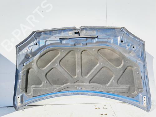 Hood SSANGYONG RODIUS I  | BP13430201C1 