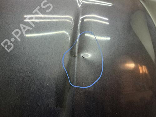 Panser FORD KUGA II (DM2)  | BP30762495C1 