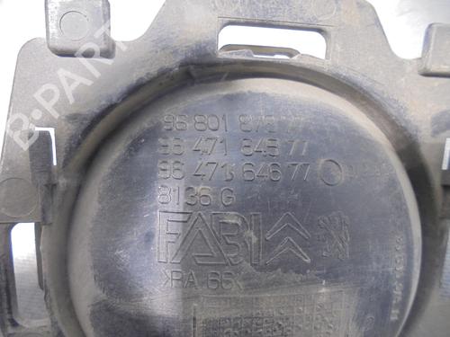 Front left interior door handle CITROËN C3 I (FC_, FN_)  | BP13464641I13 