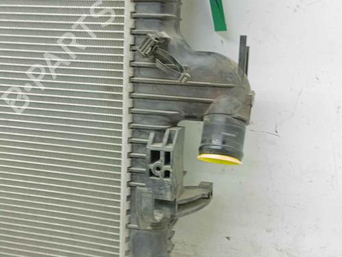 Water radiator DACIA LODGY (JS_) | BP39598805M31 - Image 3