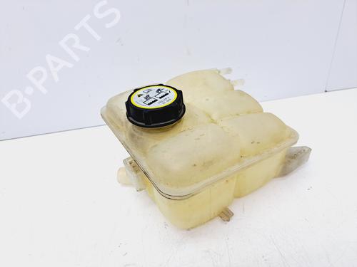 Expansion tank FORD FOCUS II (DA_, HCP, DP)  | BP19066668C120 
