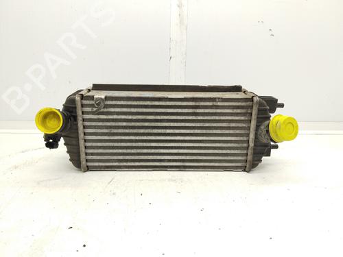 Used Intercooler KIA CARENS IV 1.7 CRDi (116 hp) 18729399