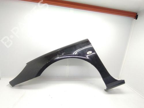 Used Left front fenders PEUGEOT 607 (9D, 9U) 2.0 HDi (107 hp) 16770618