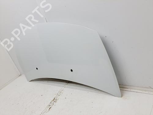 Hood RENAULT CLIO III (BR0/1, CR0/1) 1.2 16V (BR0R, BR1D, BR1L, CR0R) | BP23260637C1 