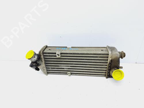 Used Intercooler HYUNDAI ACCENT III (MC) 1.5 CRDi GLS (110 hp) 15057770