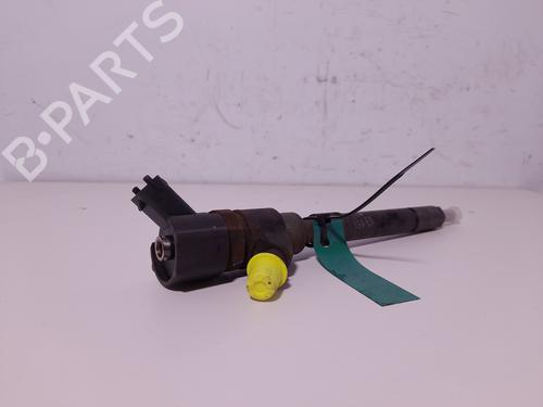 Injector HYUNDAI SONATA V (NF) | BP31066717M100