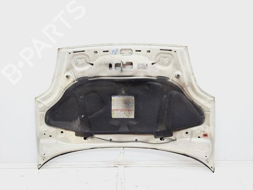Hood FIAT PUNTO EVO (199_) 1.3 D Multijet (199AXC1A, 199BXC1A, 199AXT1A, 199BXT1A) | BP25918441C1 