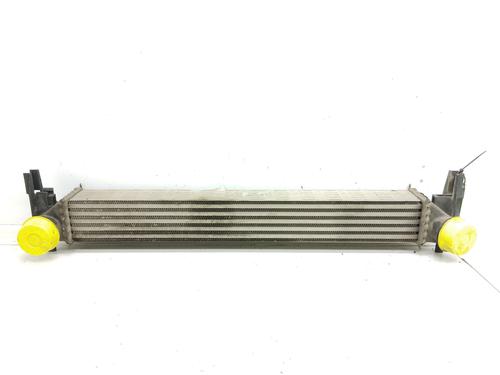 Used Intercooler SEAT IBIZA IV (6J5, 6P1) [2008-2017]  25051338