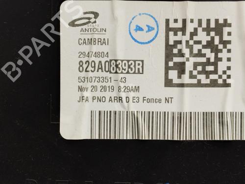 Bageste højre beklædning RENAULT SCÉNIC IV (J9_)  | BP30794352C61 