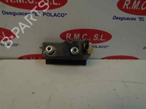 Tailgate handle KIA PICANTO I (SA) 1.0 | BP13424138C132 
