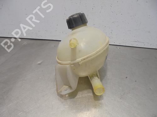 Expansion tank DACIA SANDERO II  | BP13456644C120