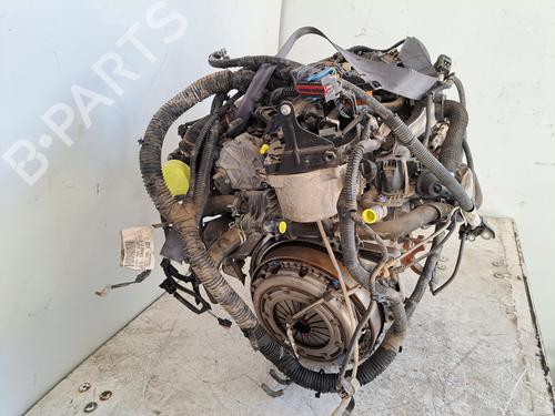 Engine FORD FOCUS III 1.6 TDCi | BP29338296M1 