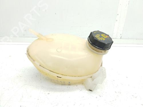 Used Expansion tank FORD ECOSPORT 1.0 EcoBoost (125 hp) 20309705
