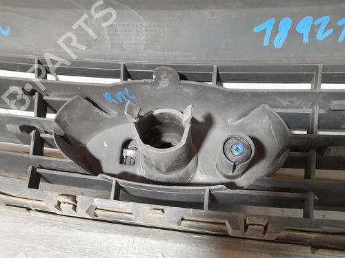 Grill FORD FOCUS C-MAX (DM2)  | BP27720969C40 