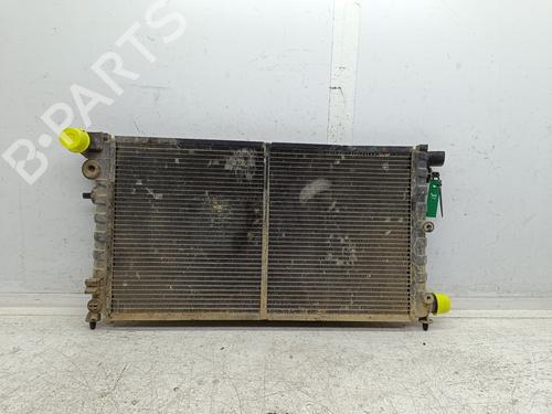 Used Water radiator PEUGEOT 106 II (1A_, 1C_) 1.5 D (57 hp) 31755973