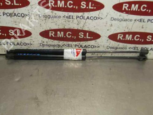 Used Tailgate lift support SKODA FABIA II (542) 1.2 (60 hp) 14222498