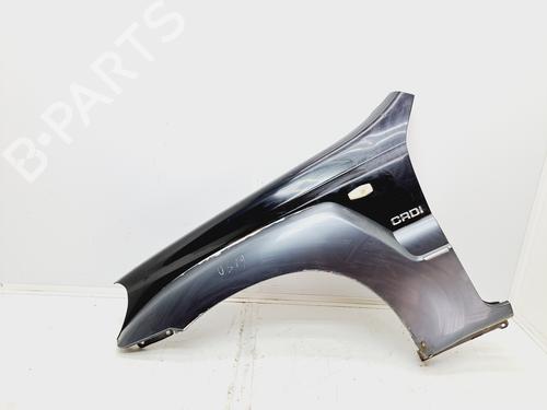 Left front fenders HYUNDAI TERRACAN (HP) 2.9 CRDi 4WD (163 hp) 17976125