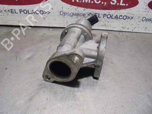 Egr HYUNDAI SANTA FÉ II (CM) | BP30113309M69