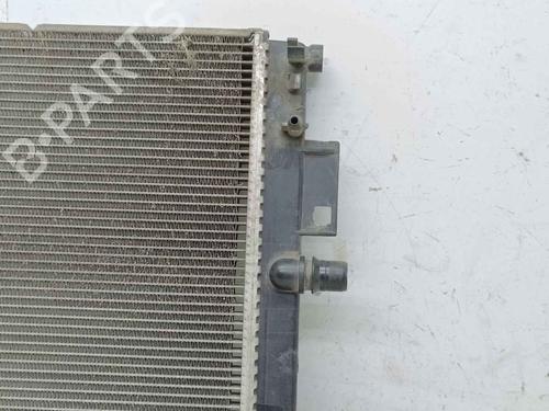 Water radiator DACIA LODGY (JS_) | BP39413185M31 - Image 3