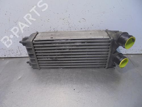 Used Intercooler CITROËN C4 II (NC_) 1.6 HDi 90 (92 hp) 13469922