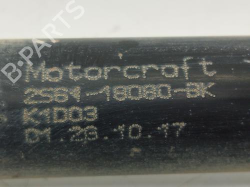 Left rear shock absorber FORD FIESTA V (JH_, JD_) 1.4 TDCi | BP26586801M18 