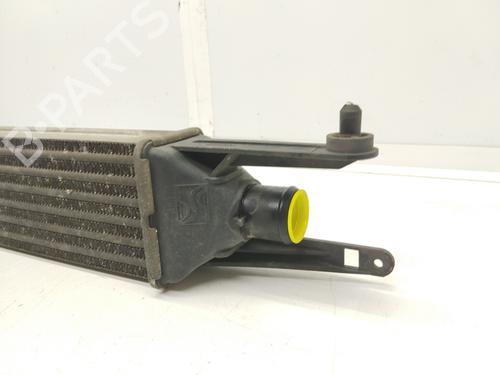Intercooler FIAT GRANDE PUNTO (199_)  | BP18746781M30 