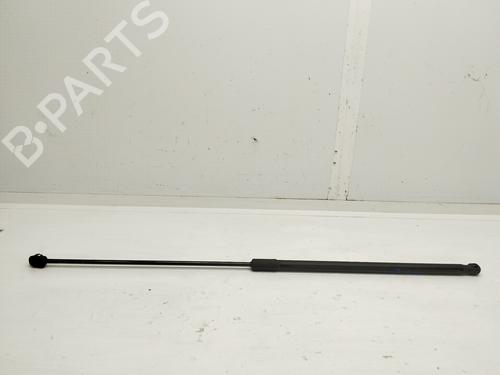 Gasfjeder motorhjelm VW GOLF VII (5G1, BQ1, BE1, BE2) 2.0 TDI (150 hp) 24405110