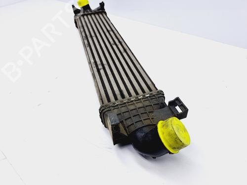 Intercooler FORD FOCUS II (DA_, HCP, DP) 2.0 TDCi | BP13426348M30 