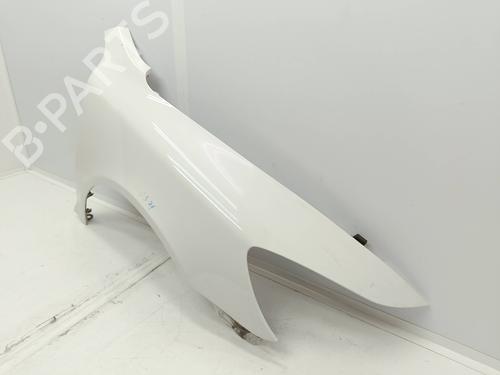 Right front fenders SKODA OCTAVIA II (1Z3) 1.9 TDI | BP16654596C42 