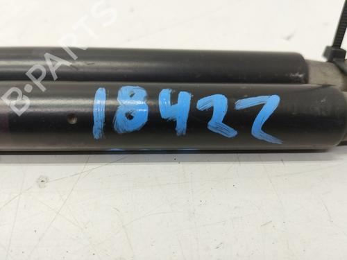 Tailgate lift support NISSAN X-TRAIL I (T30)  | BP21814458C138 