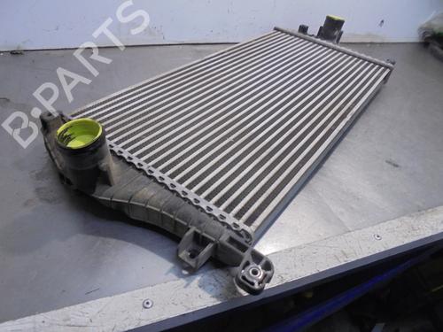 Intercooler KIA CARENS III MPV (UN) 2.0 CRDi 140 | BP13456120M30 