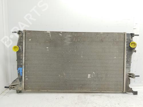 Køler RENAULT MEGANE II (BM0/1_, CM0/1_) 2.0 16V (BM0U, CM0U) (135 hp) 29208753