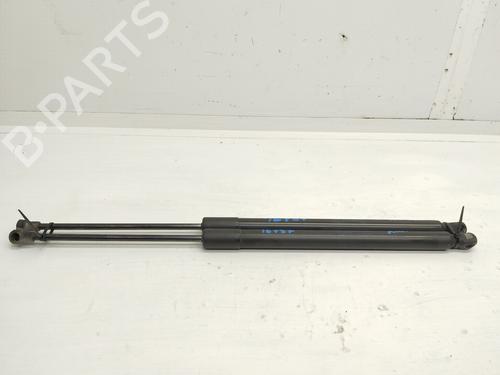 Used Tailgate lift support VW GOLF VII (5G1, BQ1, BE1, BE2) 2.0 TDI (150 hp) 24444149