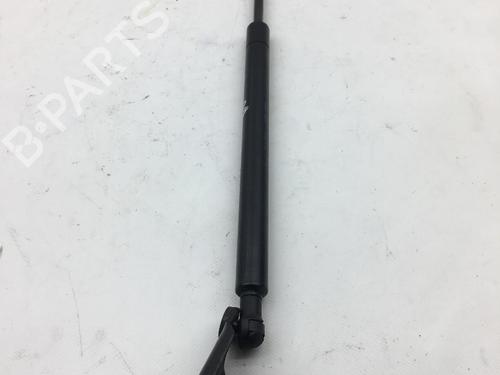 Hood lift support SEAT ALHAMBRA (7V8, 7V9) 2.0 i | BP14585958C139 
