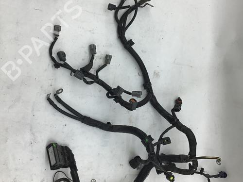 Used Wiring harness MITSUBISHI COLT VI (Z3_A, Z2_A) 1.3 (Z21A) (95 hp) 14585642