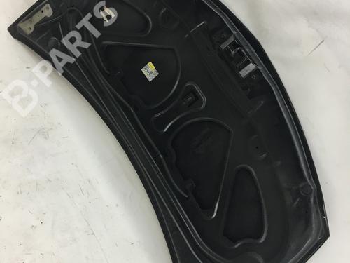 Hood RENAULT CLIO III (BR0/1, CR0/1) 1.2 16V (BR0P, CR0P) | BP6943412C1 