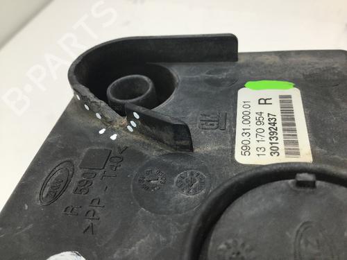 Right front fog light OPEL SIGNUM Hatchback (Z03) 1.9 CDTI (F48) | BP29453736C31 