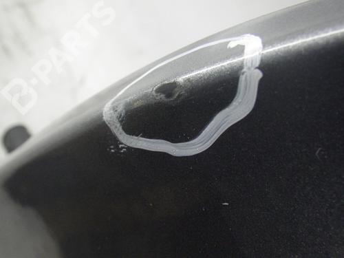 Left front door SMART FORFOUR (454) 1.1 (454.030) | BP3009671C2 