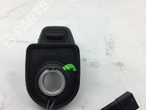 Tailgate handle BMW 5 Touring (E61) 520 d | BP9181532C132 