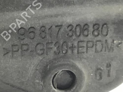 Fuel flap PEUGEOT 207 CC (WD_) 1.6 16V | BP17224354C131 