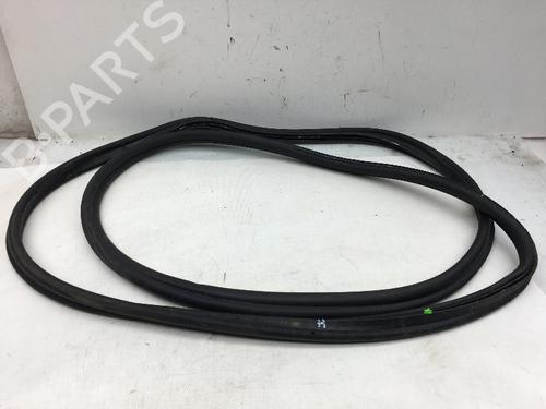 Used Rubber door seal BMW 7 (F01, F02, F03, F04) 750 i, Li xDrive (408 hp) 14587481