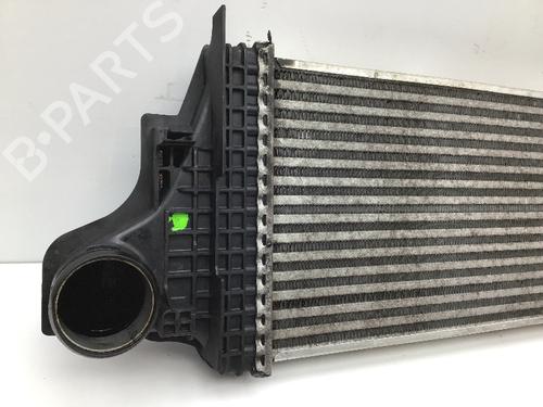 Intercooler MERCEDES-BENZ M-CLASS (W164) ML 280 CDI 4-matic (164.120) | BP15894768M30 