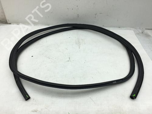 Used Rubber door seal BMW 7 (F01, F02, F03, F04) 750 i, Li xDrive (408 hp) 14587465